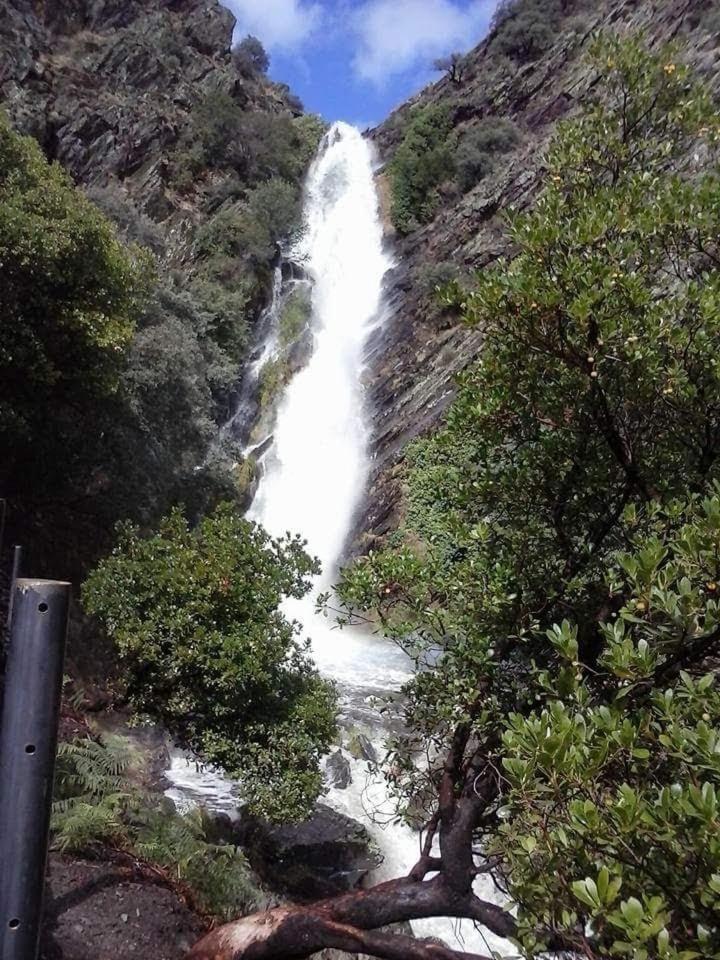 El Chorritero Ovejuela