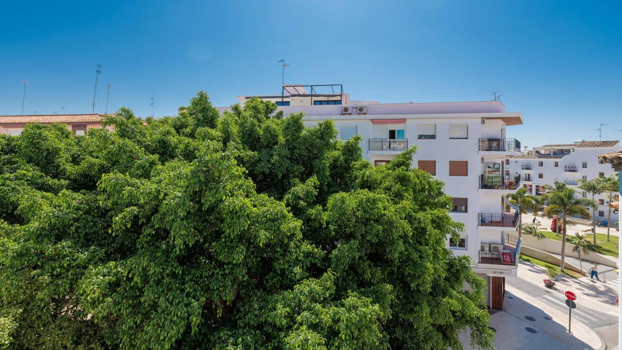 Chic Uurban Oasis In Apartamento