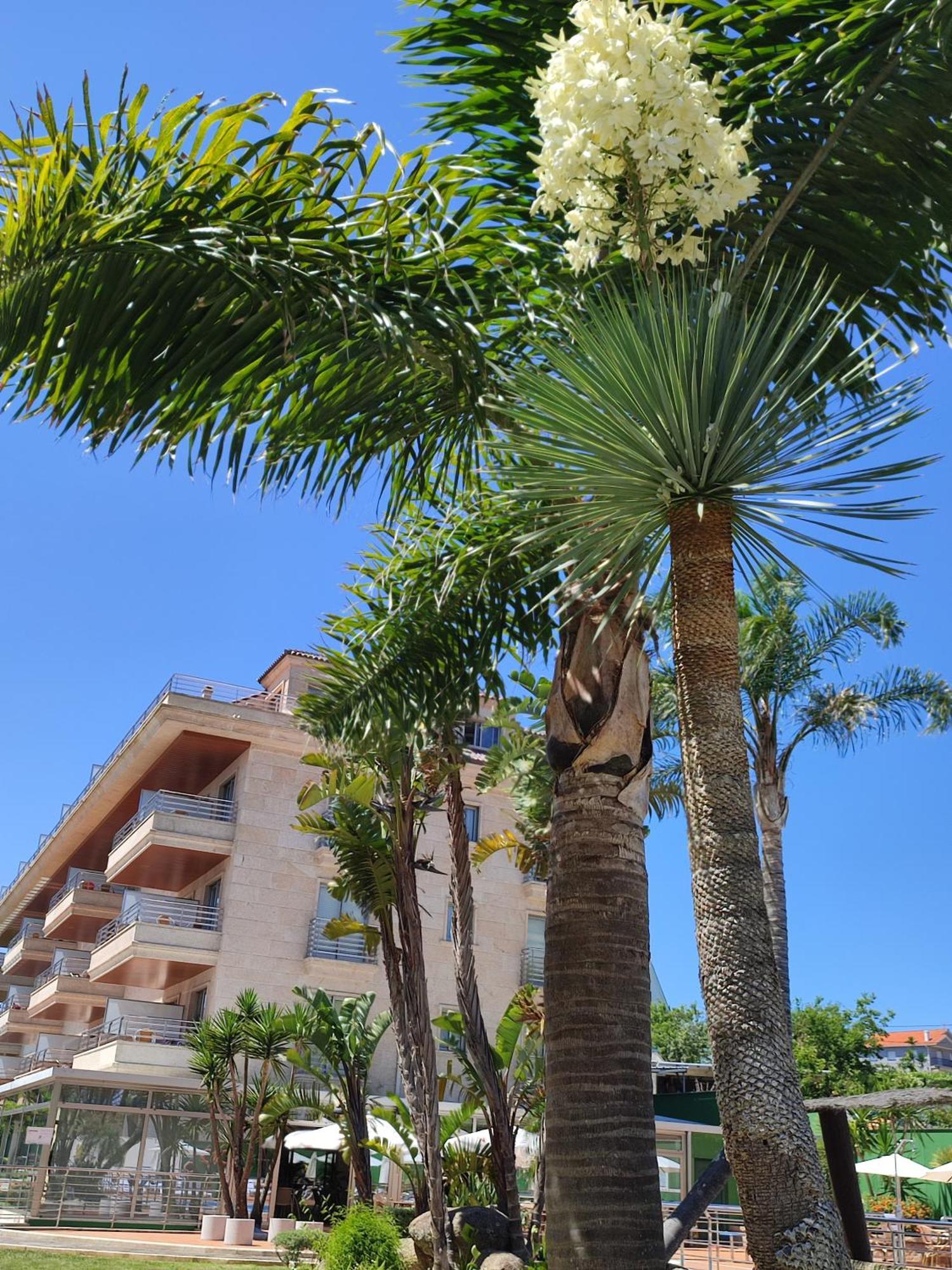 Apartment Marsil Montalvo
