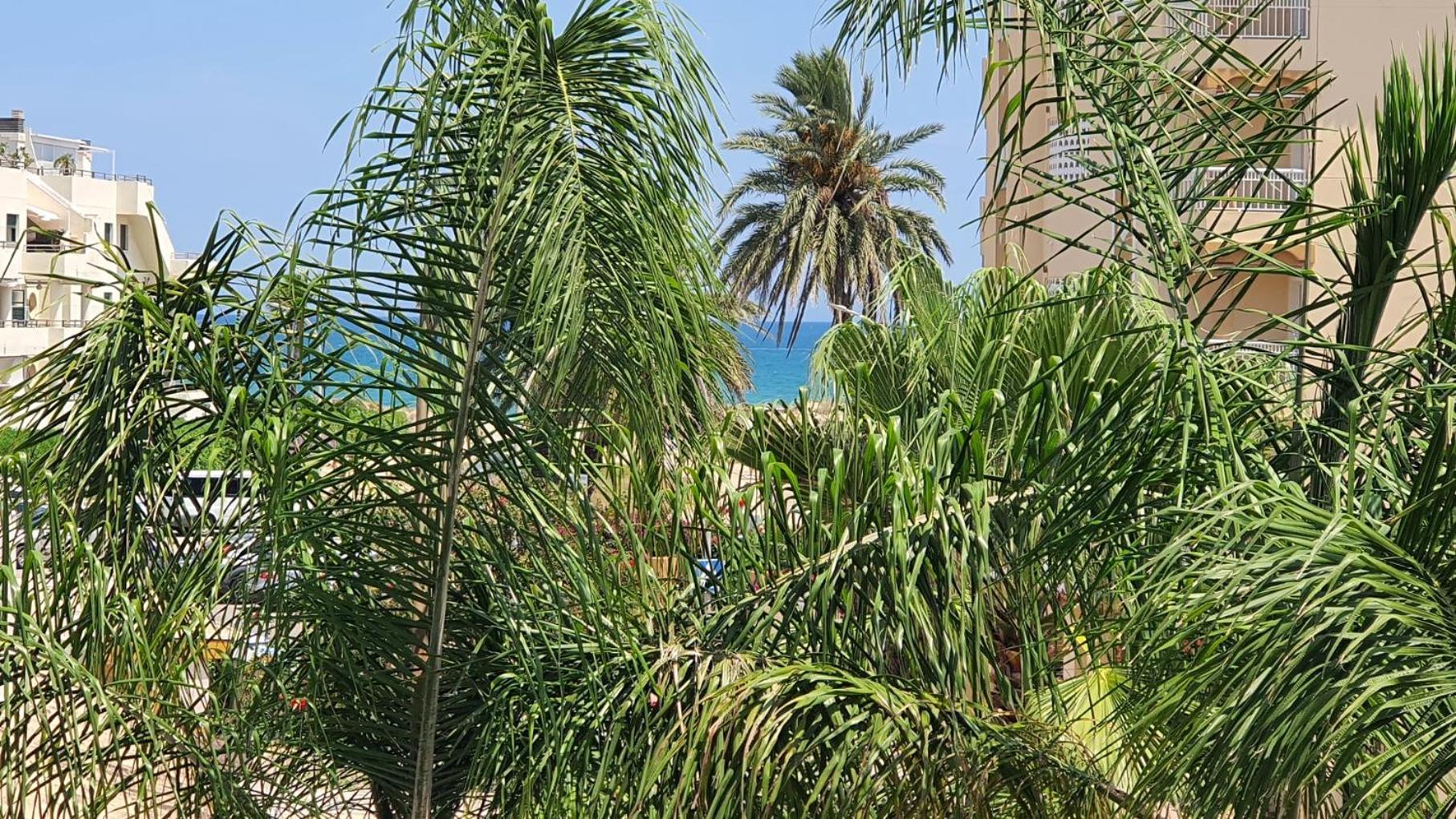 Poligono - Playa San Fernando