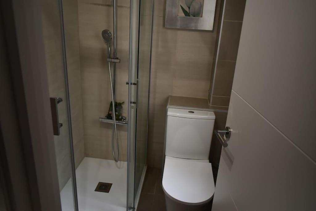 Precioso Piso En Centro Con Parking Gratis Apartment *