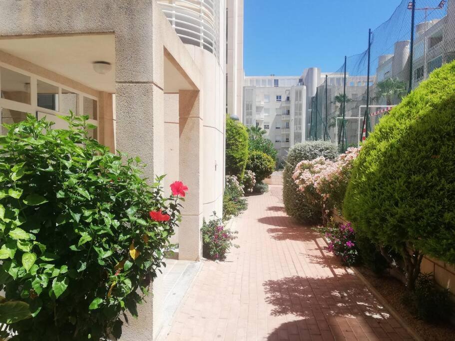 Apartamento Playa Muchavista El Campello