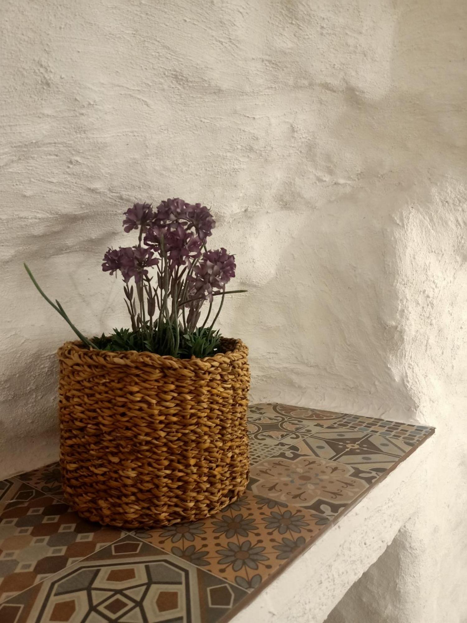 Holiday home Casa Cueva La Parra. Terque