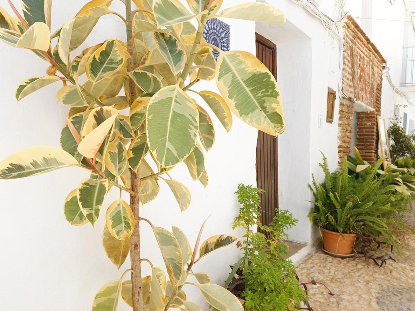 Pizarrillas: Tu Hogar En Blanco Pueblo Сasa de vacaciones *