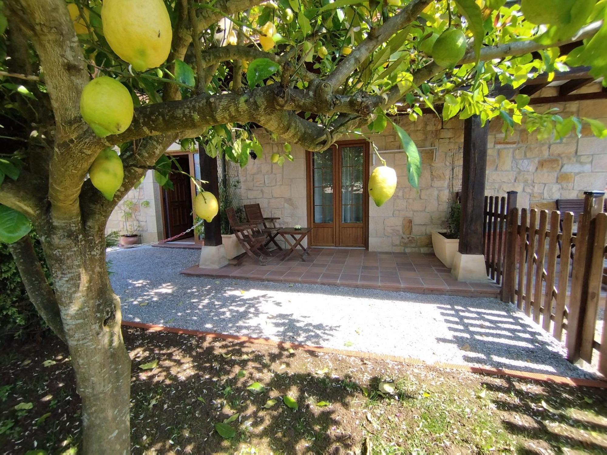 Apartment Altamira *