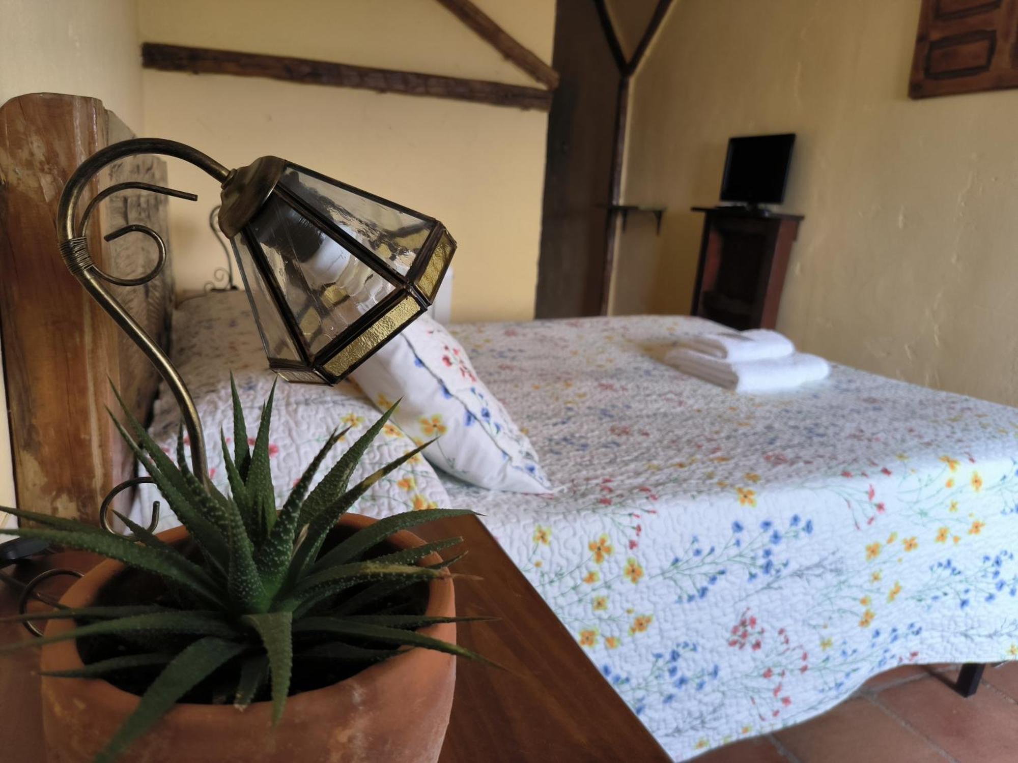 El Botánico