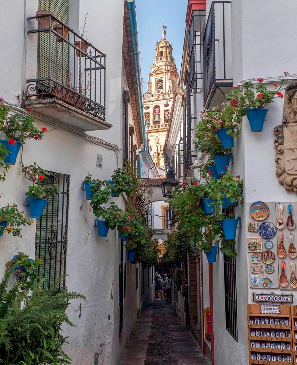 Monteras Centro