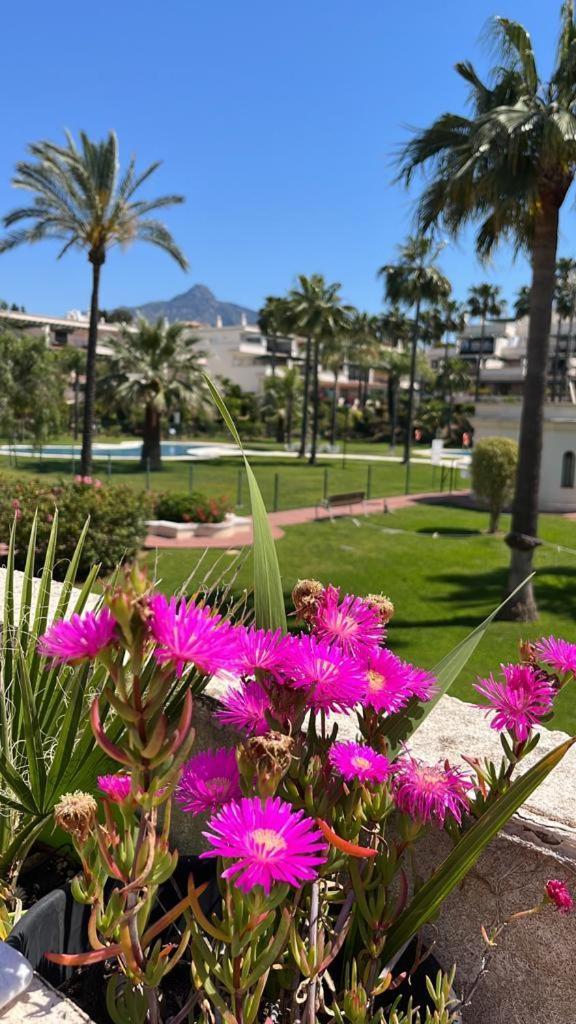 5 Min. Puerto Banus. Stunning Aparment & Big Terrace Apartment *