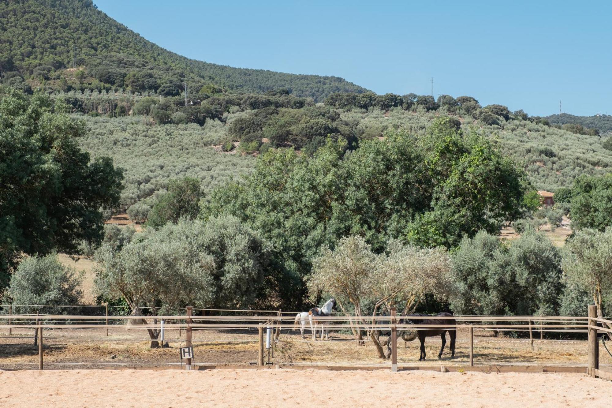 Villa Alter Real, Luxury Holiday Retreat Villanueva del Trabuco