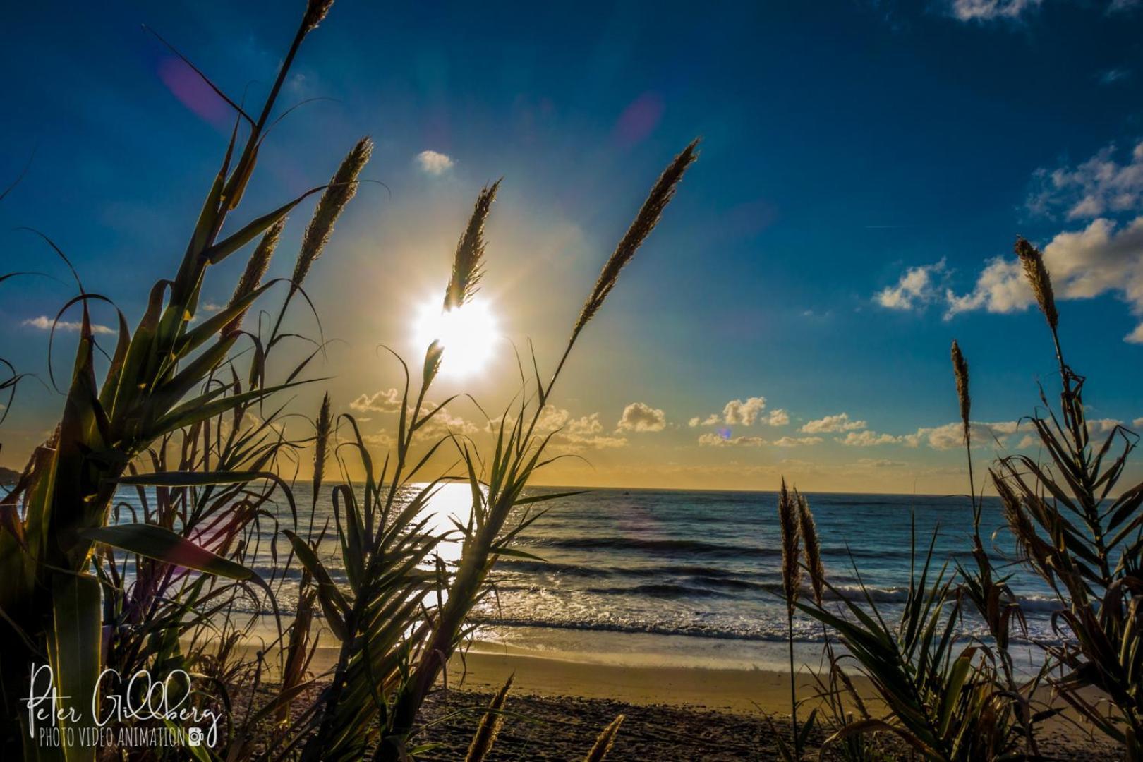Apartamento Casa Catalina Beach And Golf