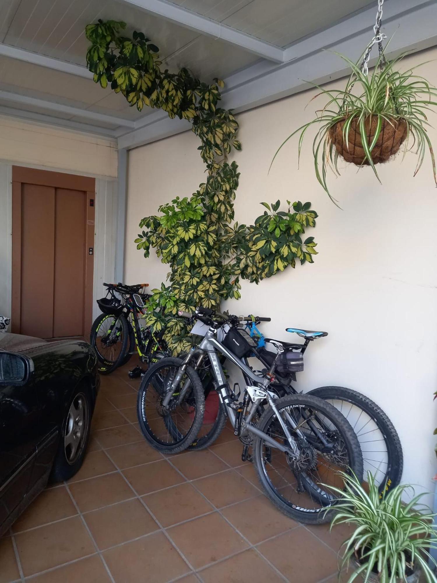 Agarimo Hostal Caldas De Reis