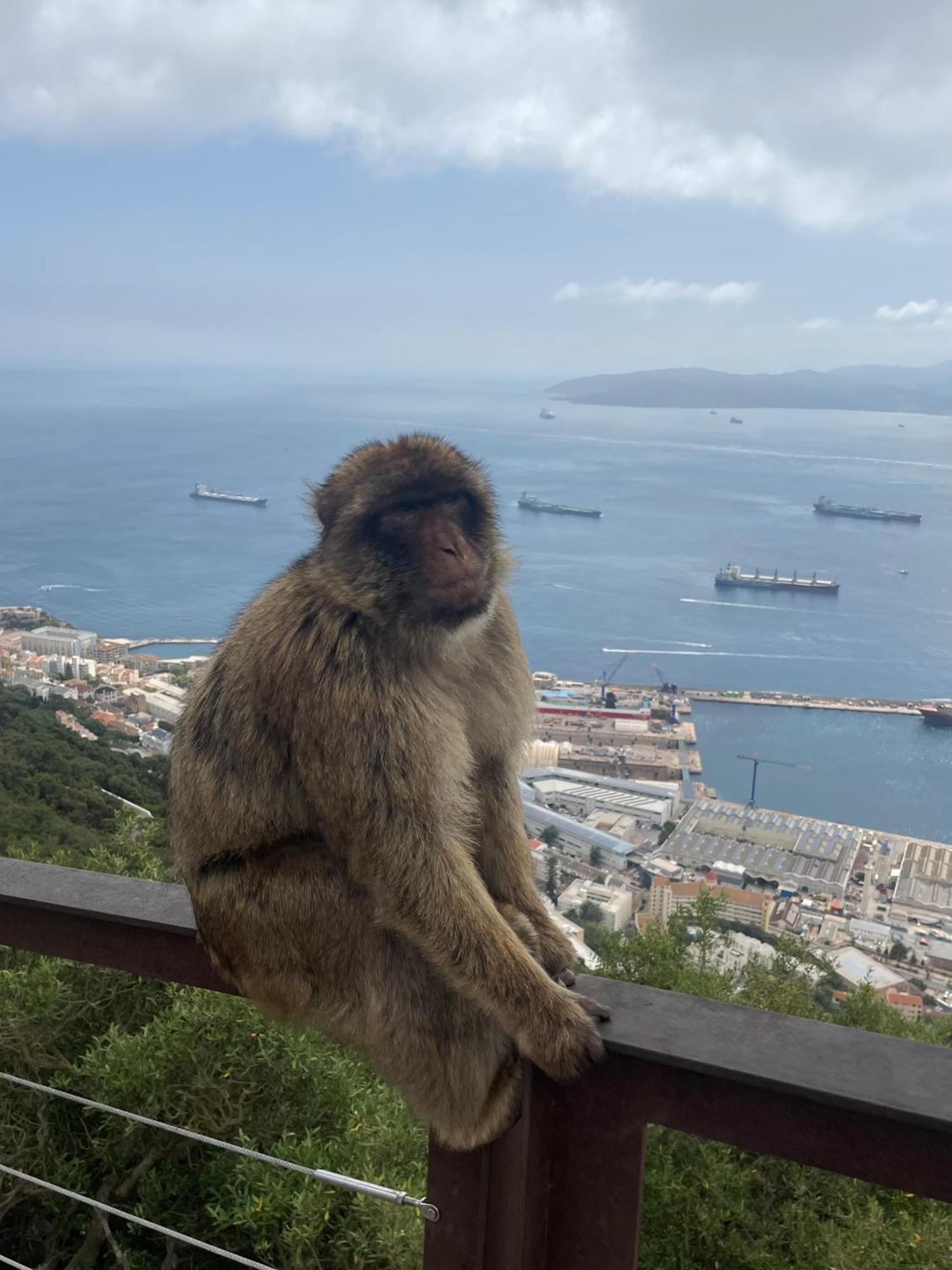 Apartamento Buena Vista Apartment, 3 Bedrooms *