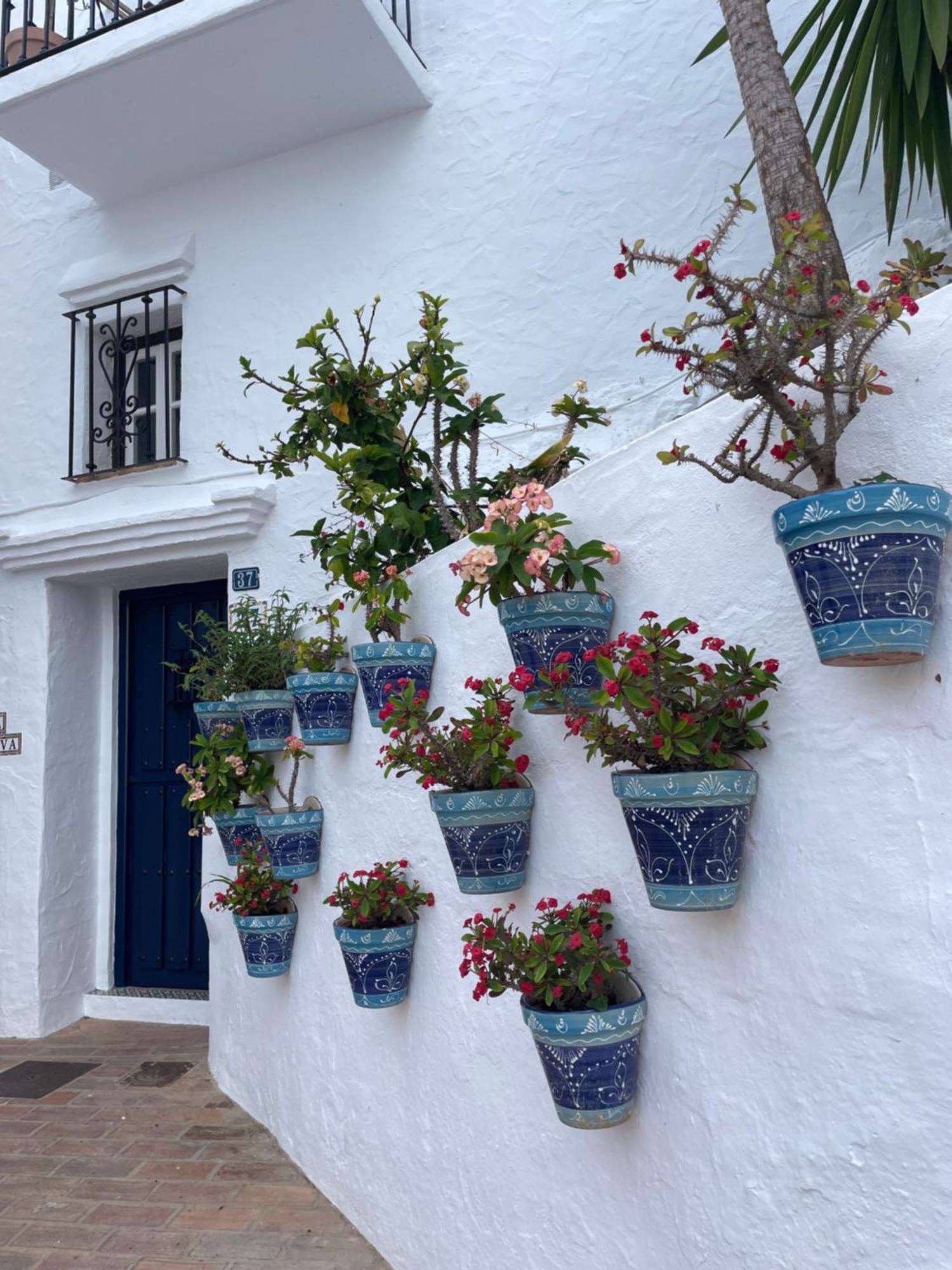 Buena Vista Apartment, 3 Bedrooms Apartamento *