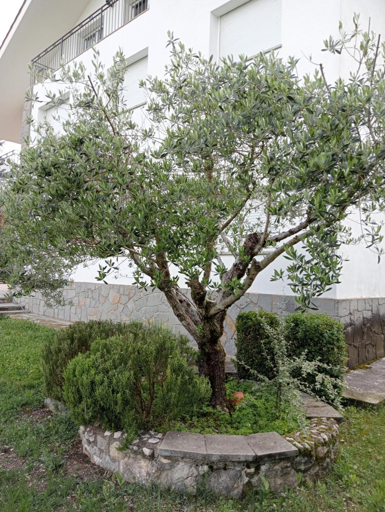Holiday home Apartamento-casa Turistica L'espigol Sant Llorenc de Morunys