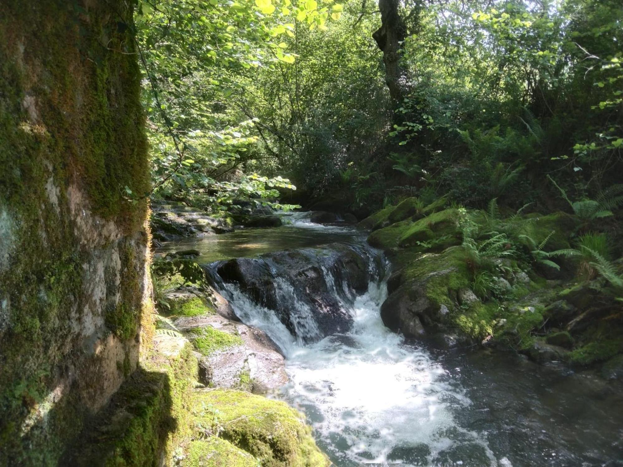 Riveros De Jeromo * Selaya