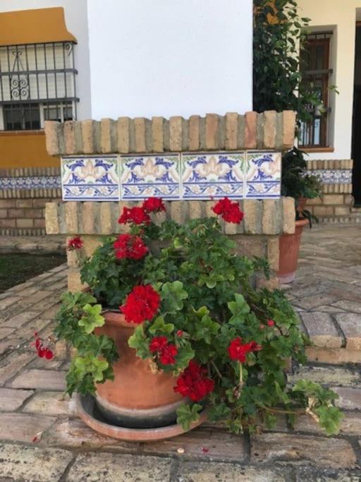 El Magnolio *
