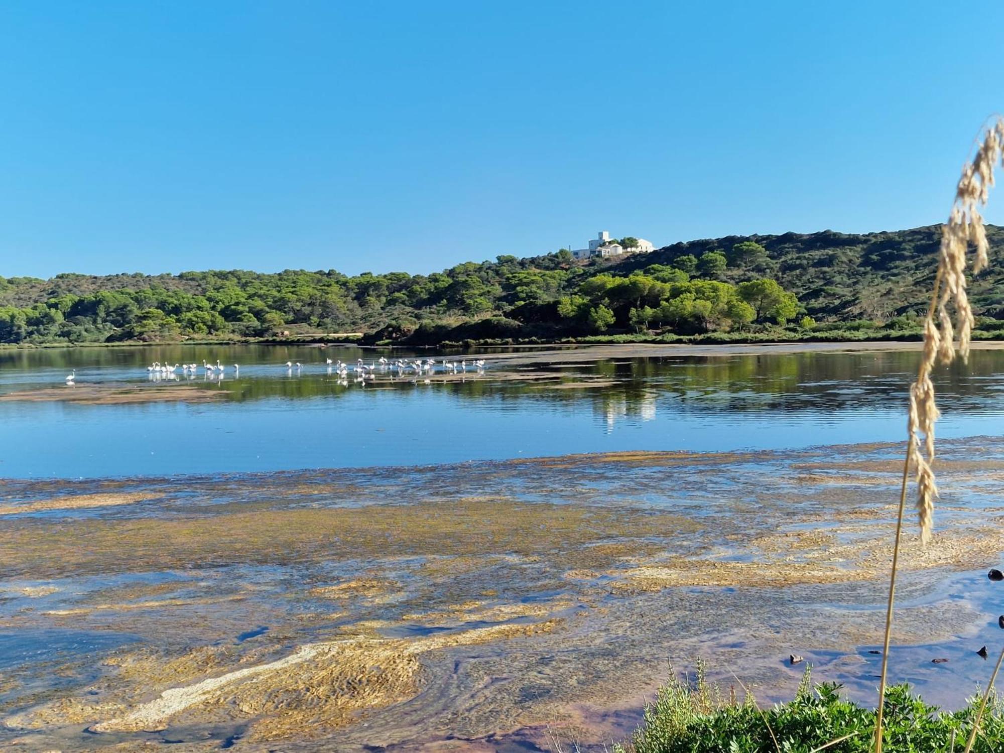 Mongofre Agroturismo Maó (Mahón)