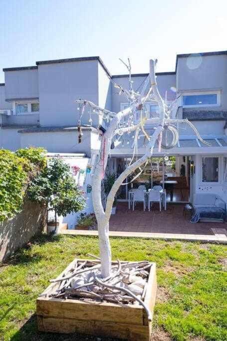 Arbol Blanco Llanera (Asturias)