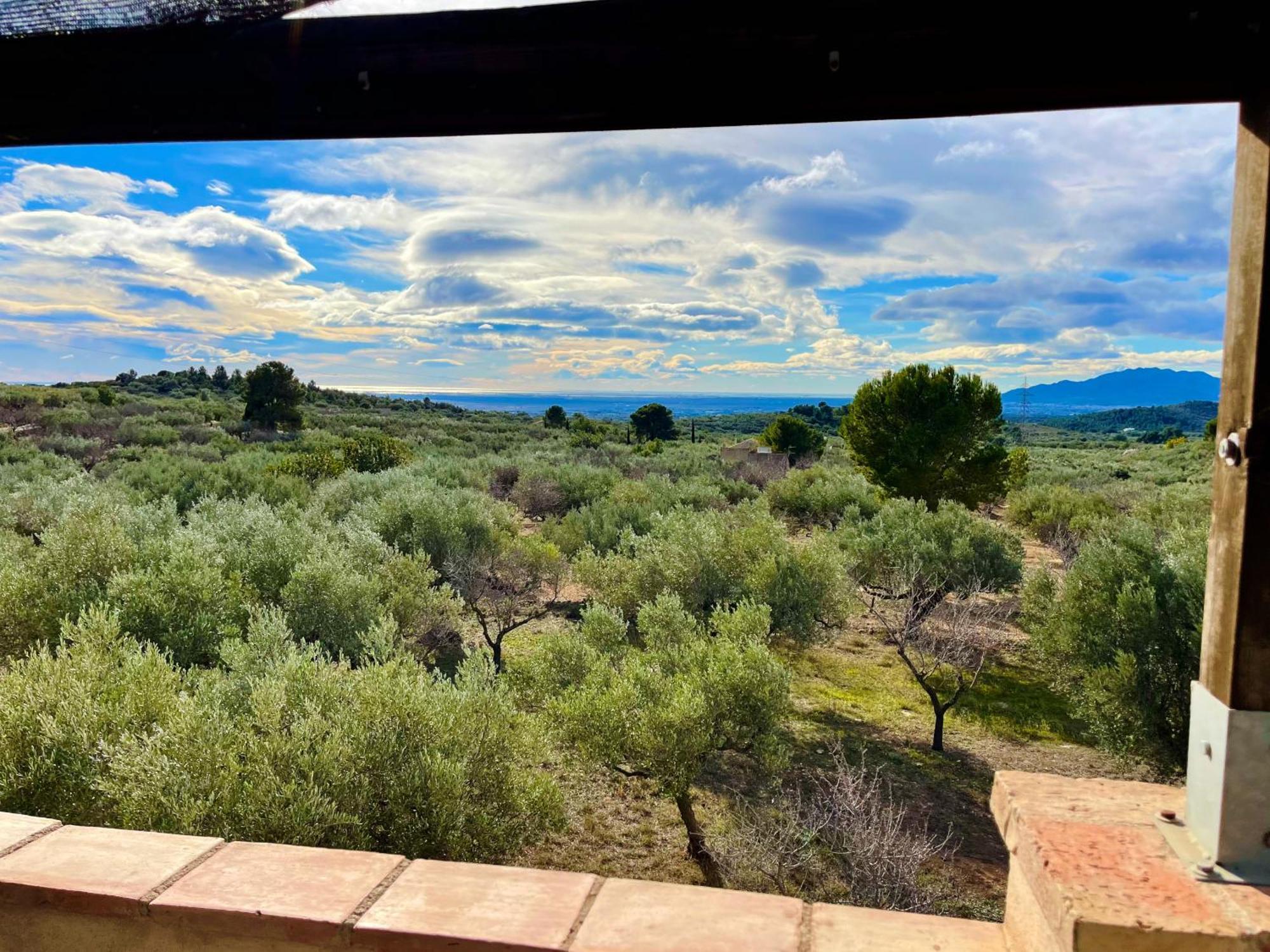 Сasa de vacaciones Mas Del Ginjol Tortosa