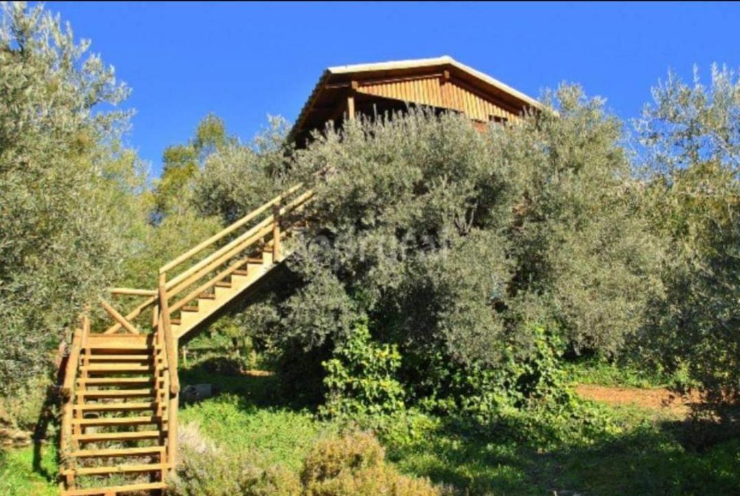 Country house El Mirador De La Mancha *
