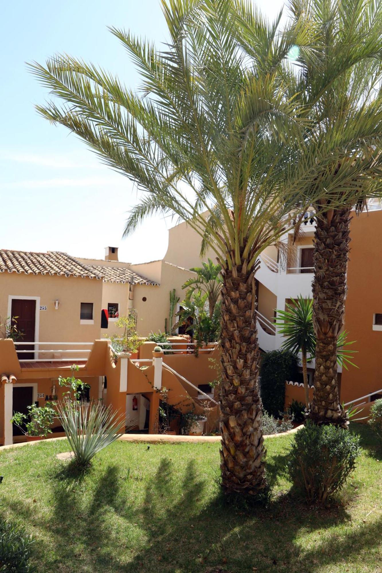 Aldea 2 Cala Fornells Apartamento Peguera