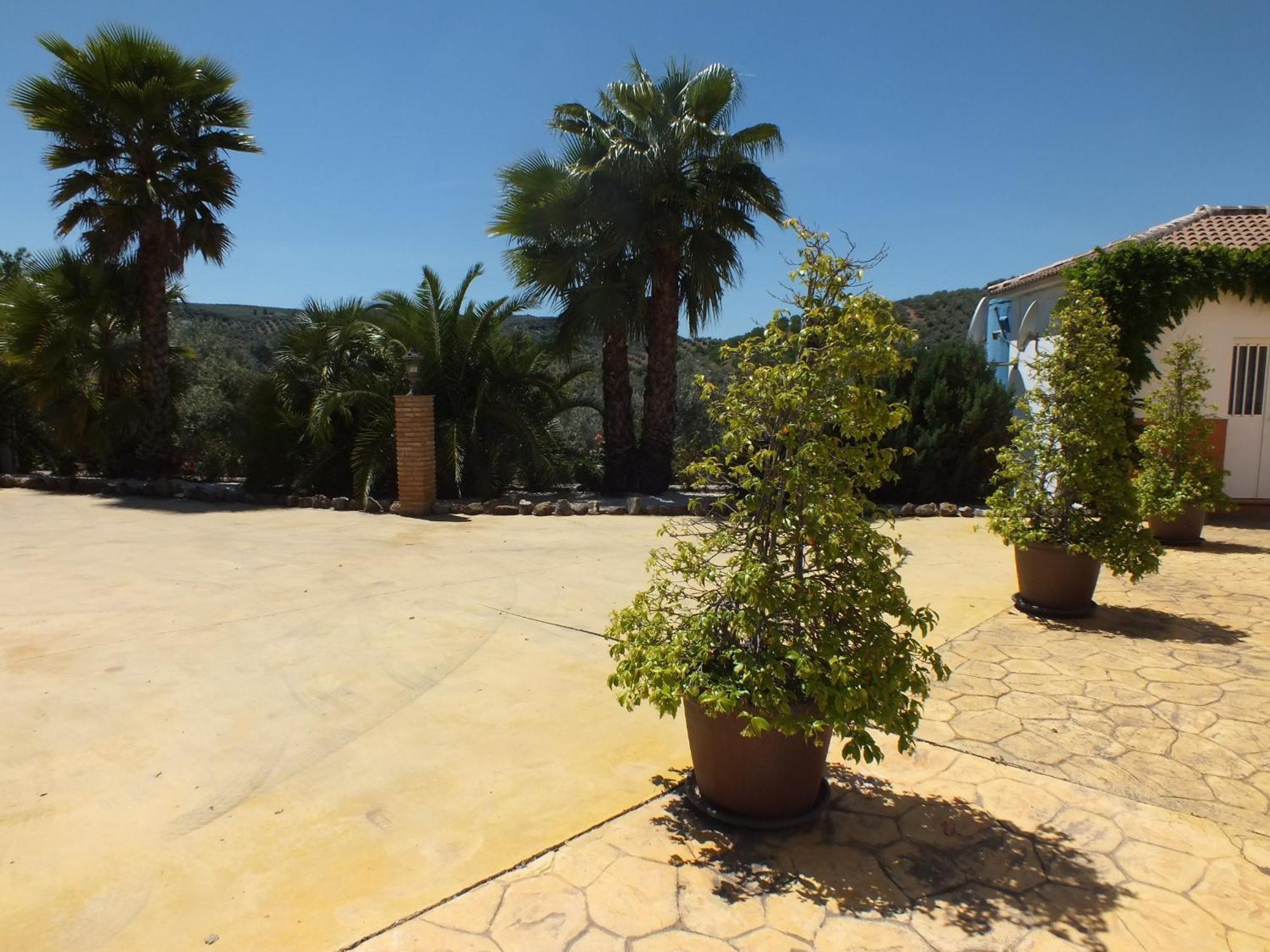 Casa Pino Solo * Iznájar