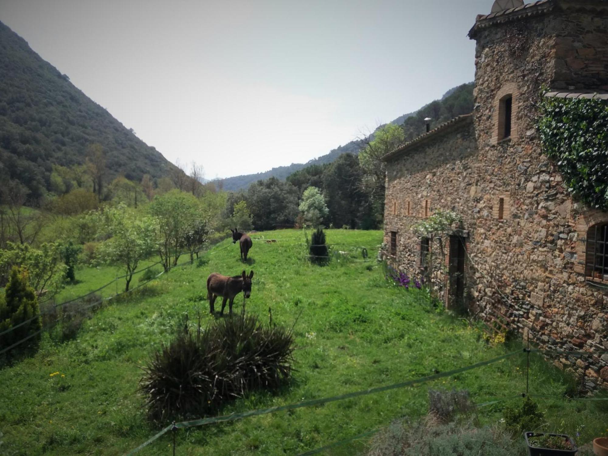 Casanova De Sant Miquel