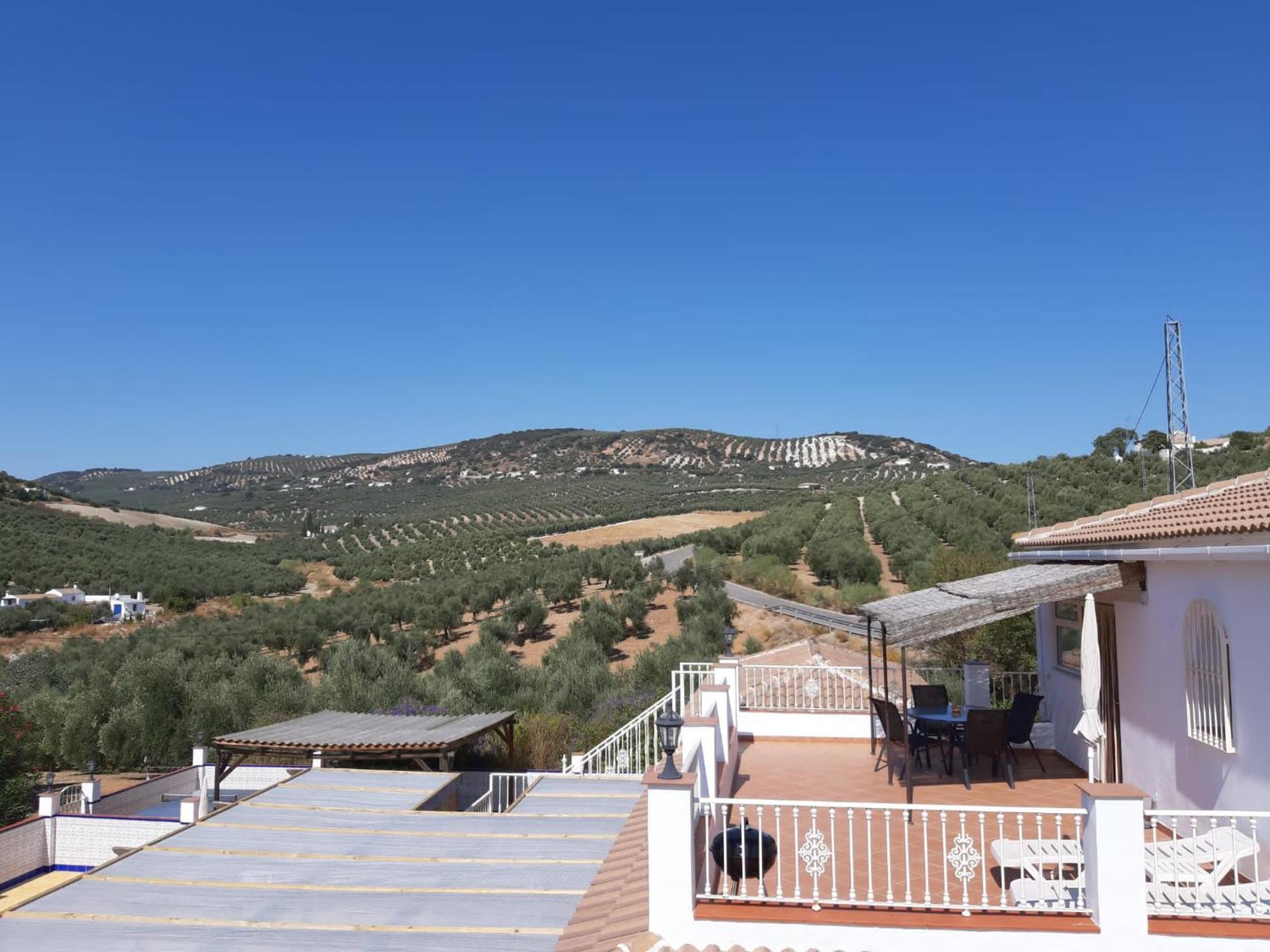Casa Pino Solo