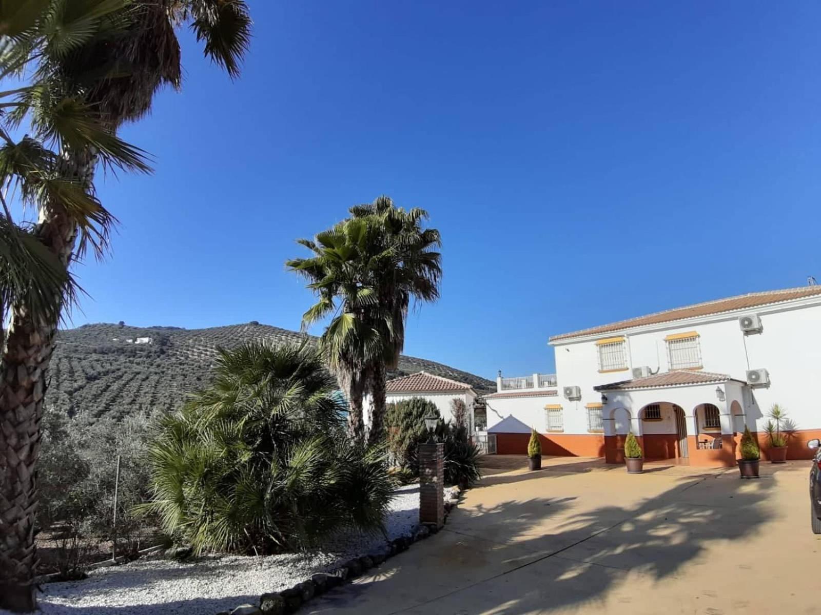 Apartamento Casa Pino Solo *