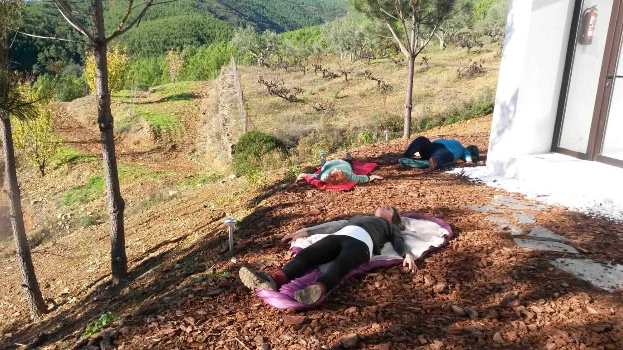 Akassa Bioclimaticos En Hurdes Pinofranqueado
