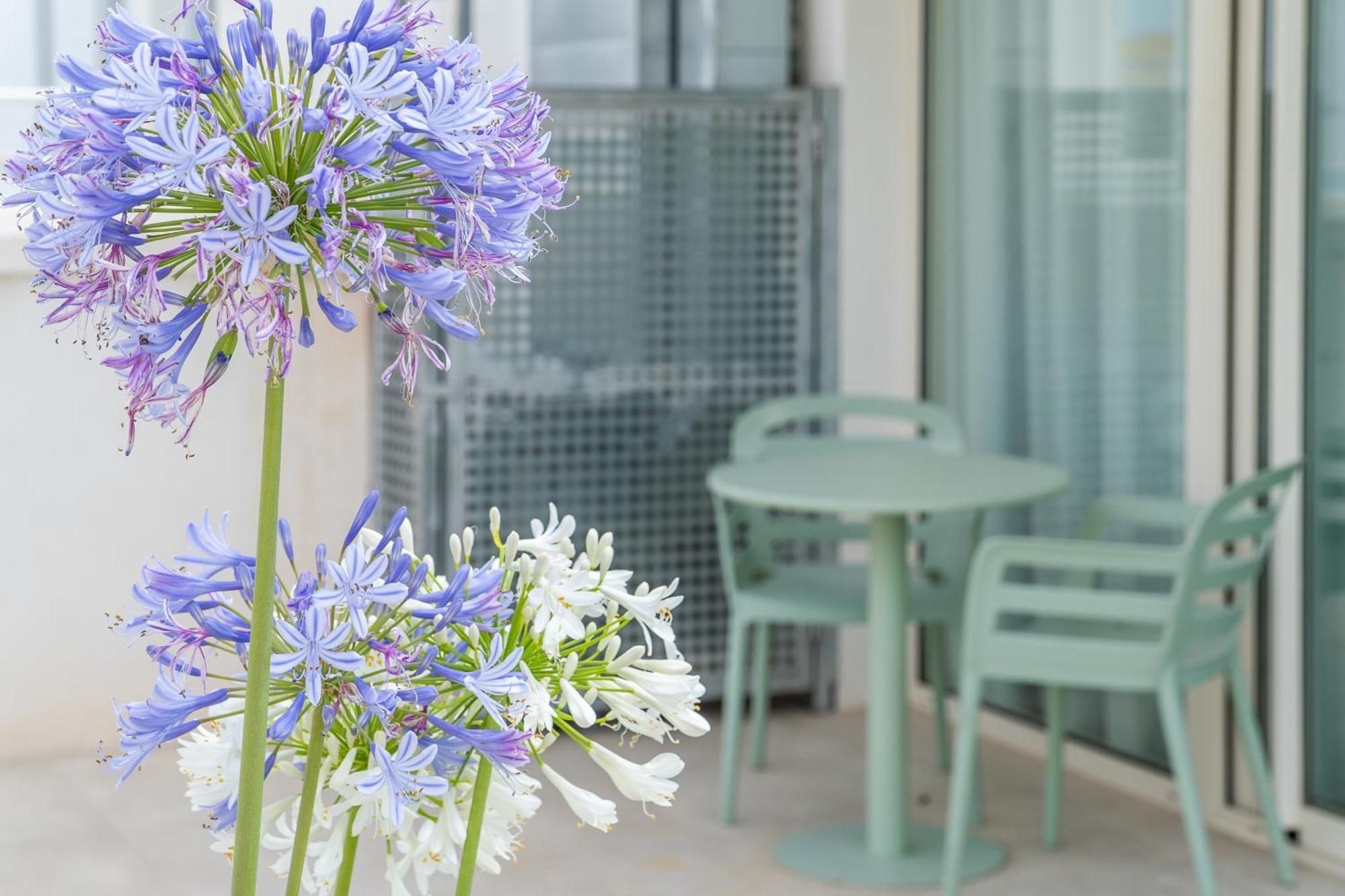 Teide Guest house Puerto de Sagunto
