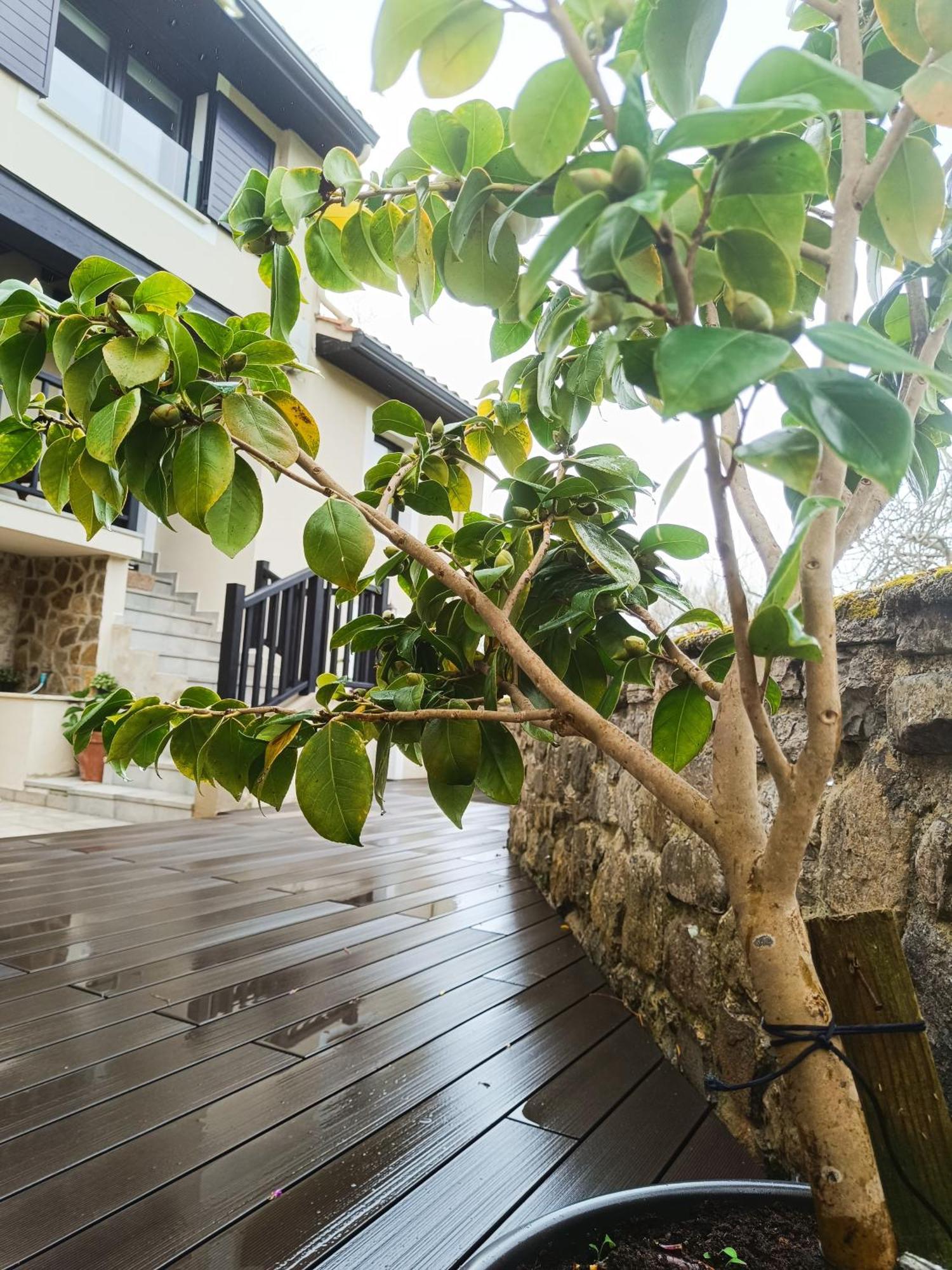 Casaplayadevega Holiday home Vega (Ribadesella)