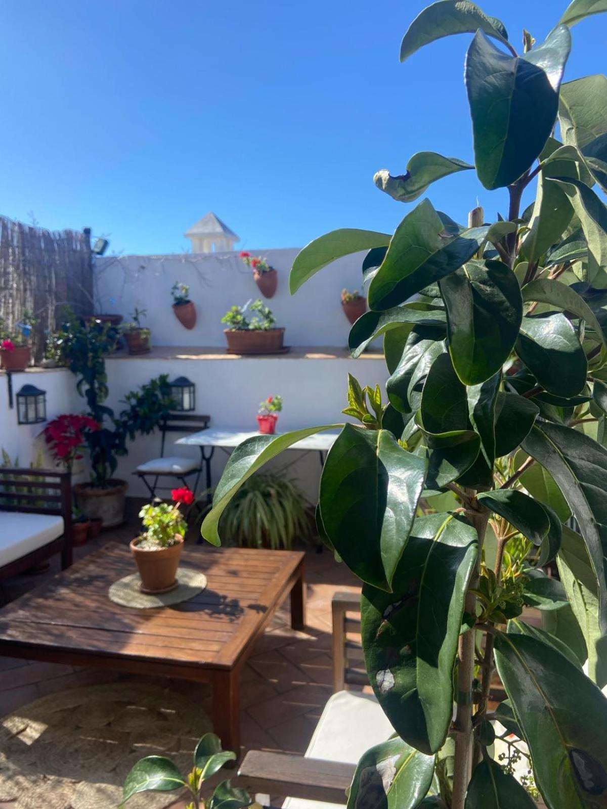 La Gitanilla & Encanto Jerez *