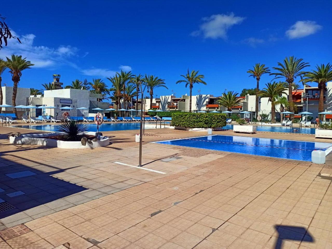 Apartment In The South Of Tenerife In The *