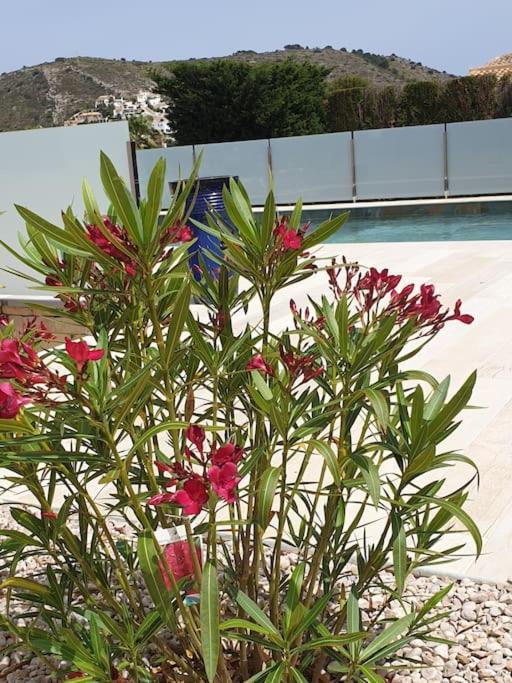 Casa Osimos Portet 450 M Apartamento *