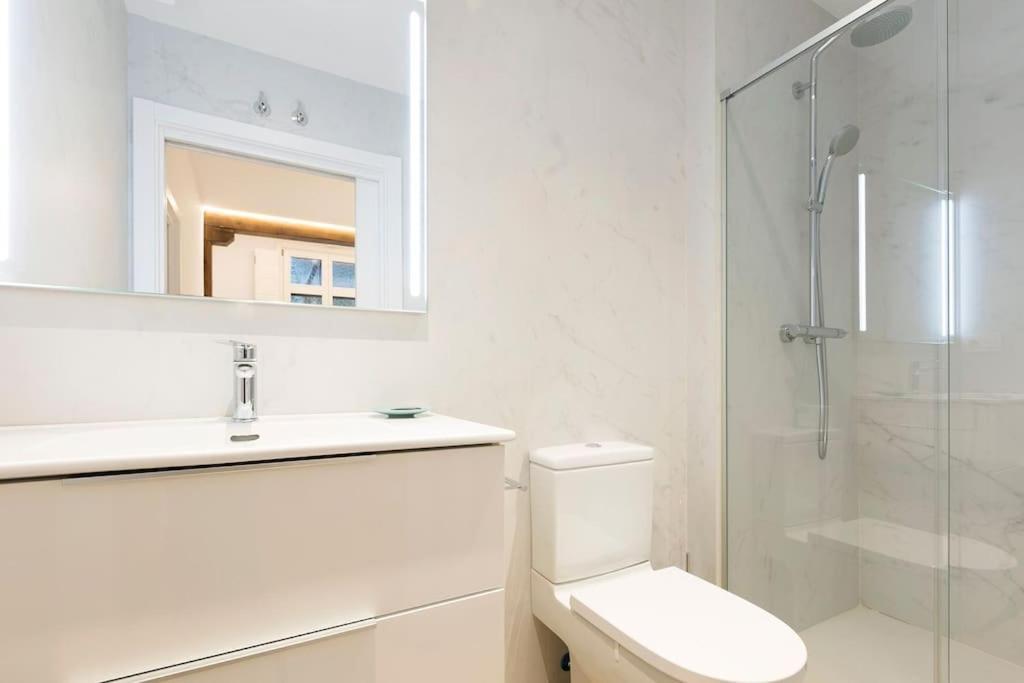 Apartment Alde-zahar. Basquenjoy