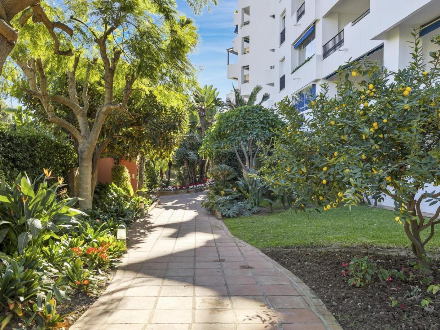 Medina Garden 201 Apartamento