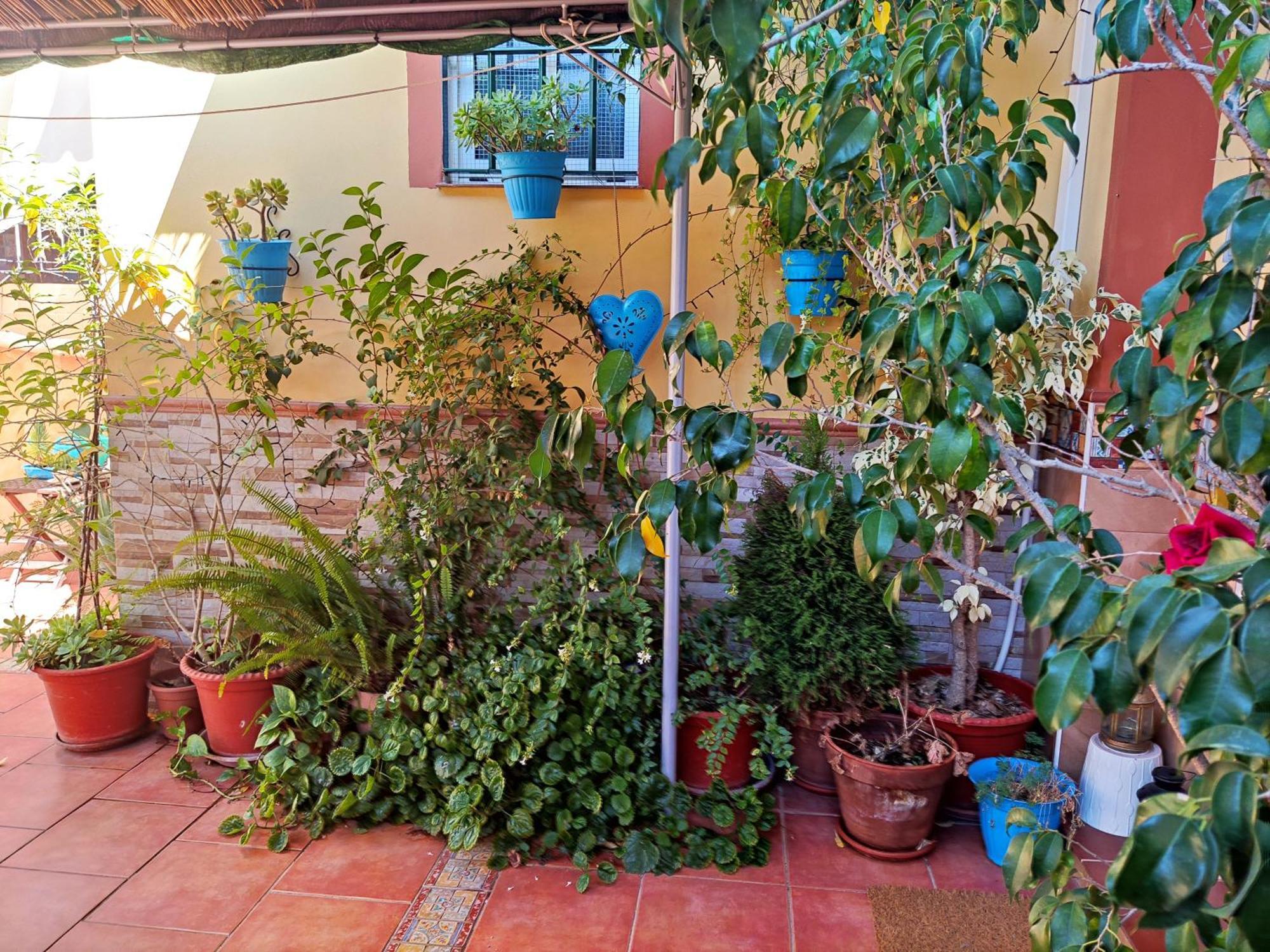 Cool Garden Apartamento