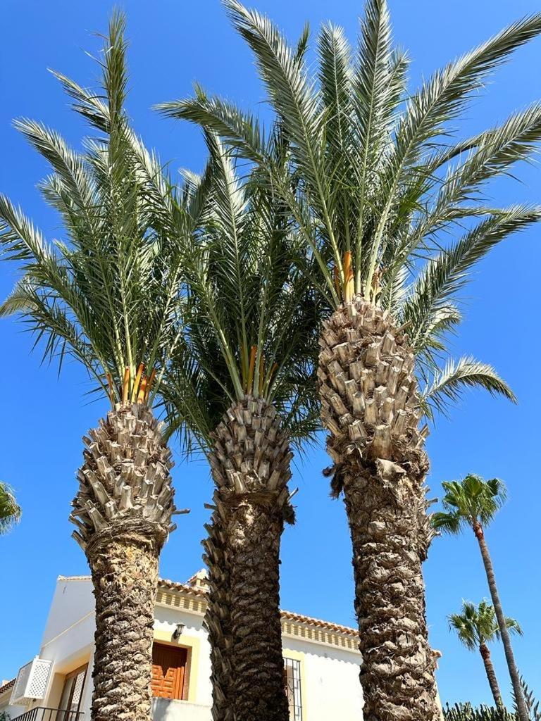 Casa De Olivia Vera Coast