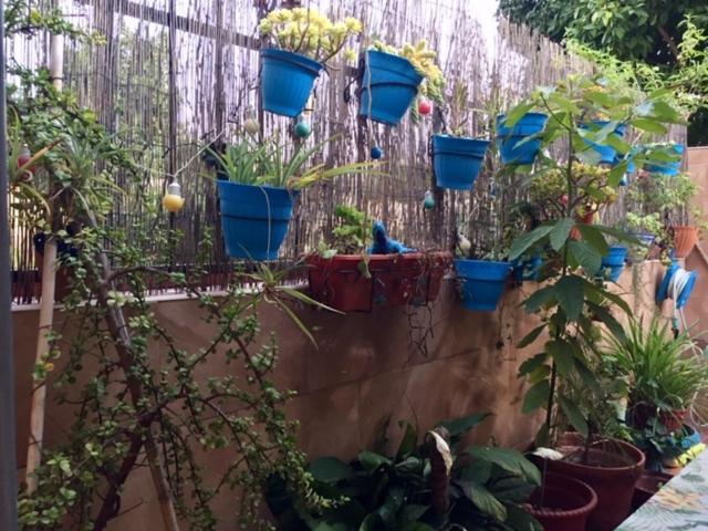 Apartamento Cool Garden Mairena del Aljarafe