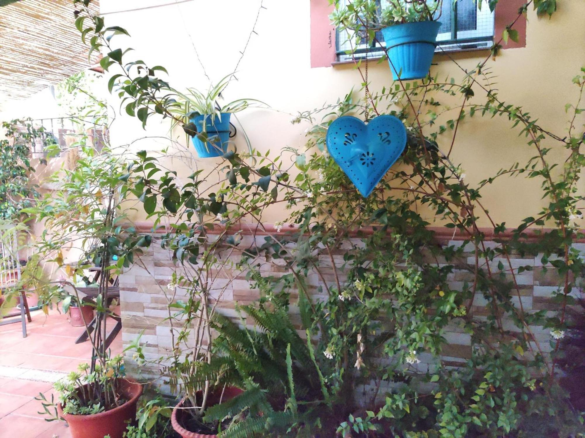 Apartamento Cool Garden