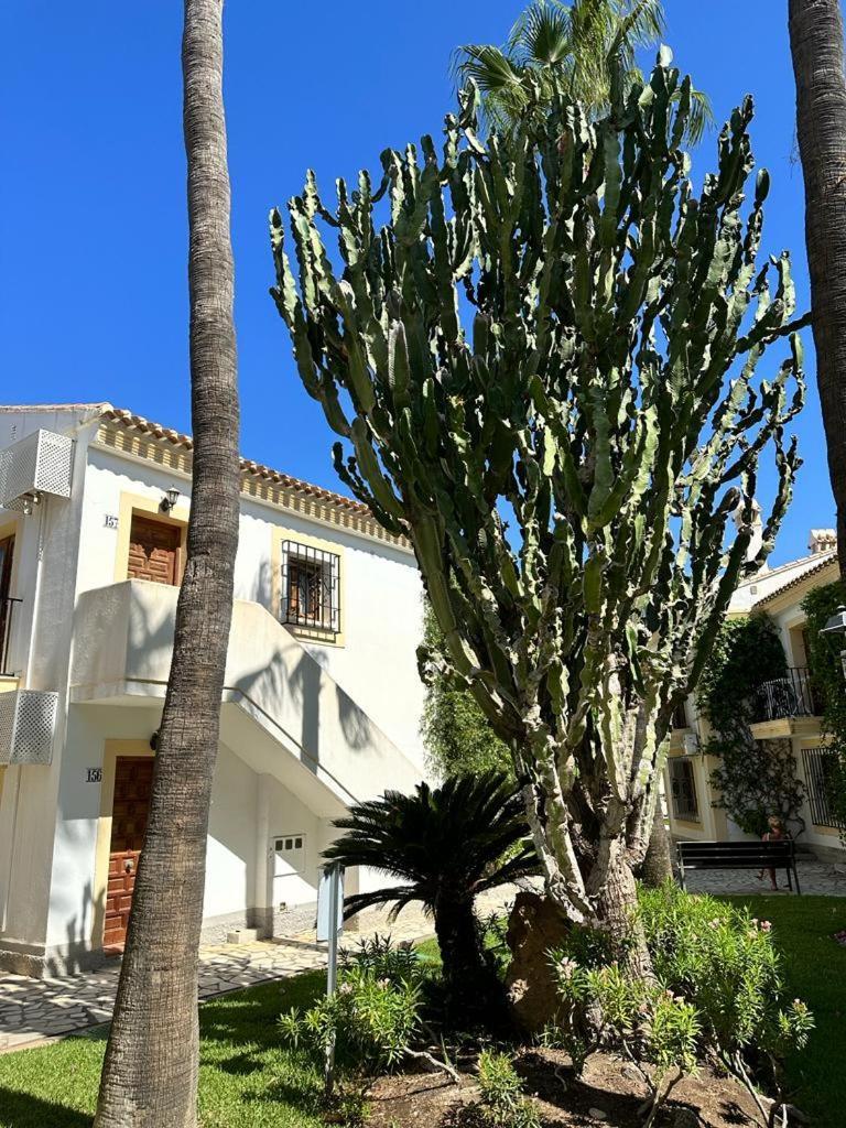 Apartamento Casa De Olivia Vera Coast