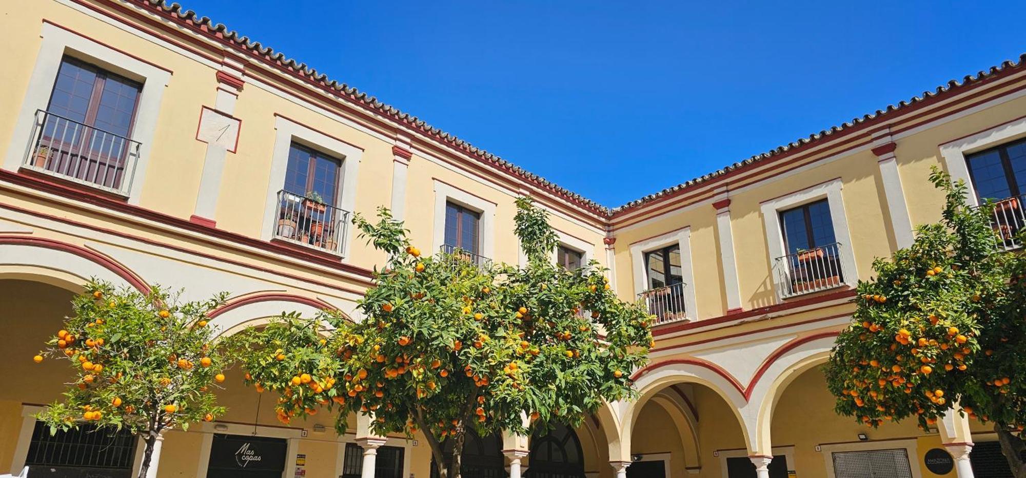 Apartamento Tartaneros Duplex By Sanlucar Housing Sanlúcar de Barrameda