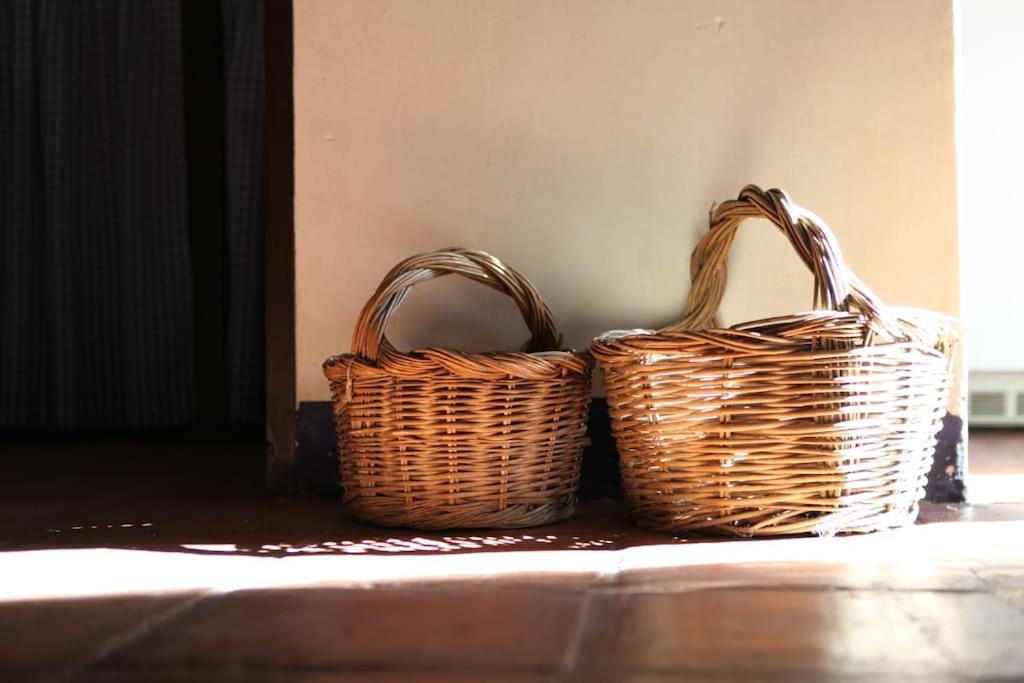 La Casa De Pajaritas * Pasarón