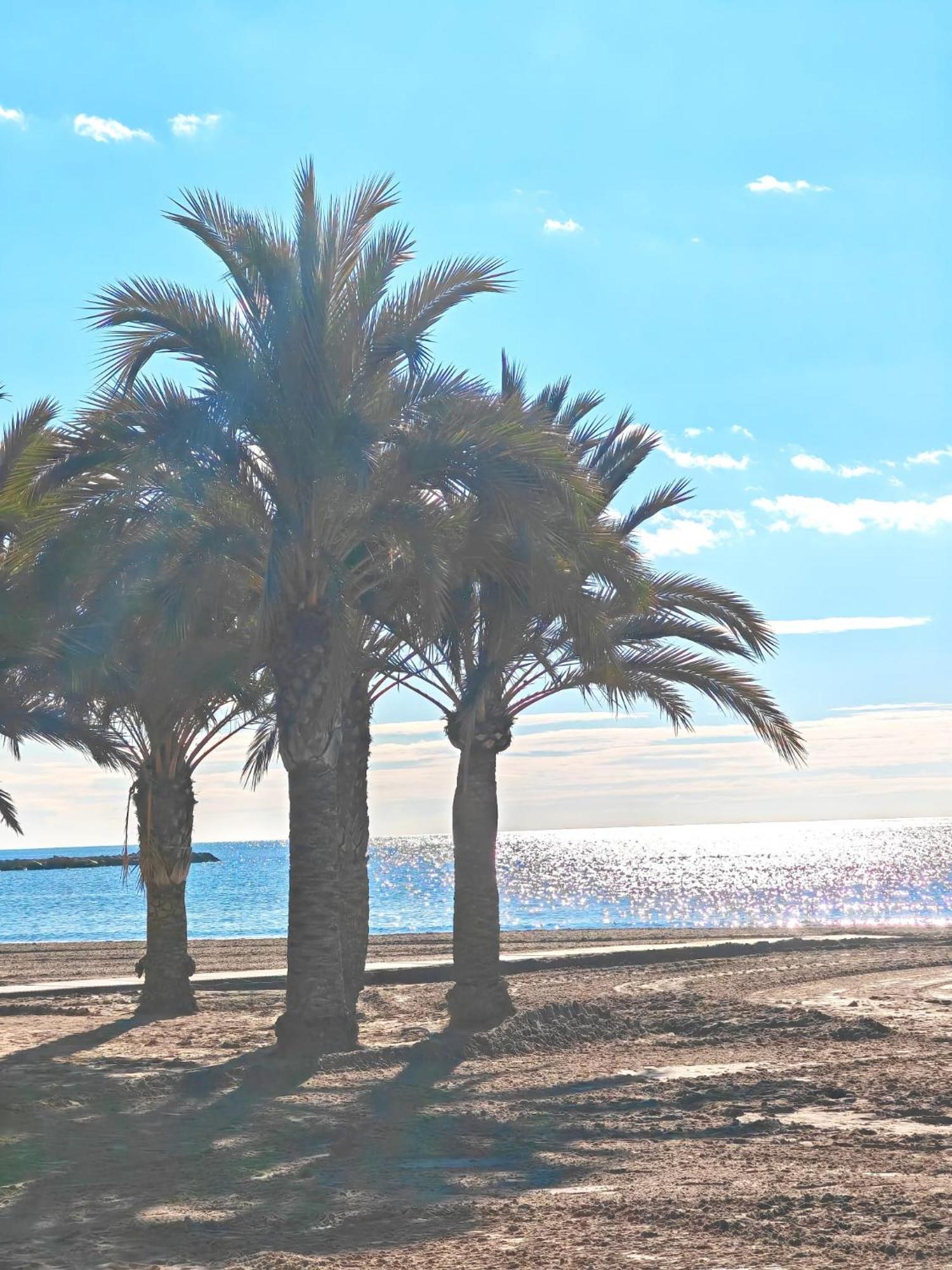 San Pedro Con Ascensor Y Playa Apartamento
