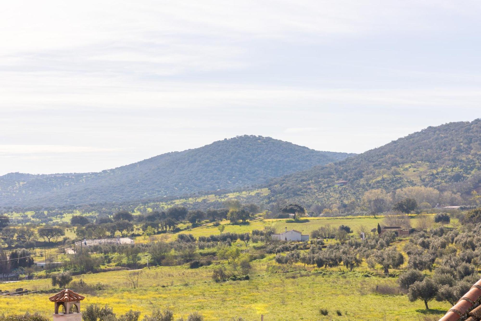 La Milana Holiday home *
