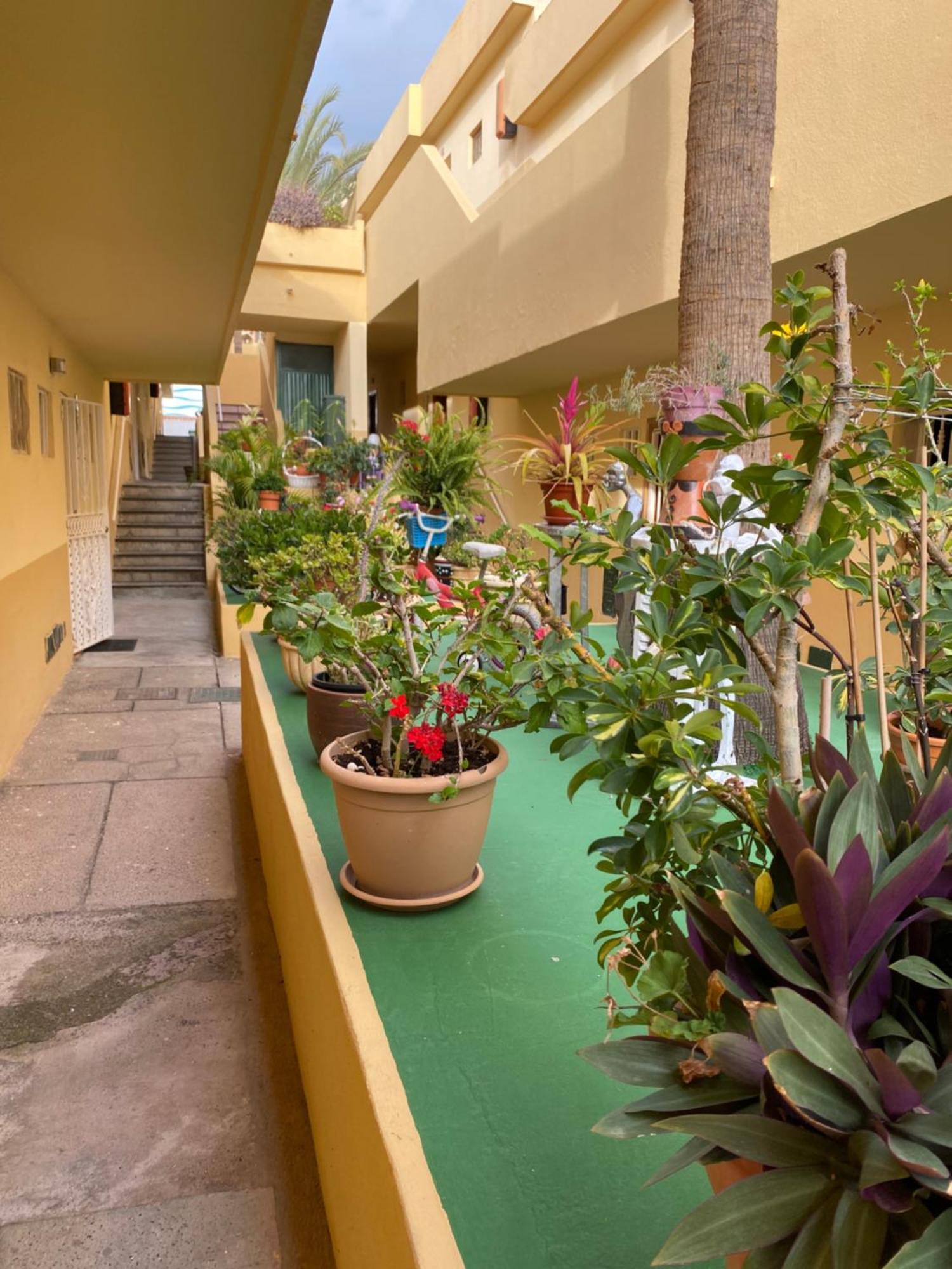 Apartamento Mareverde Ocean