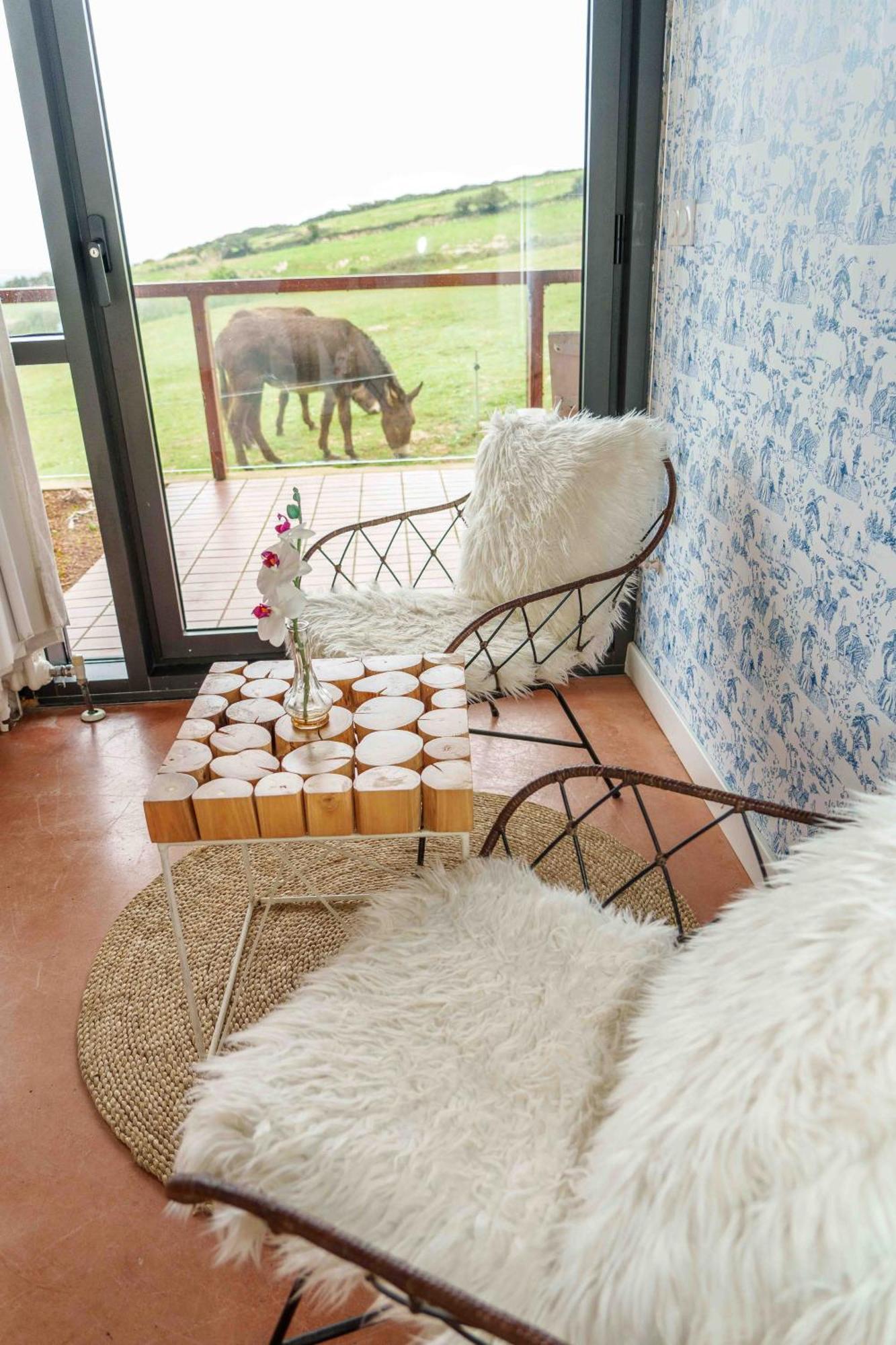 Niditas Bed & Breakfast Yuso