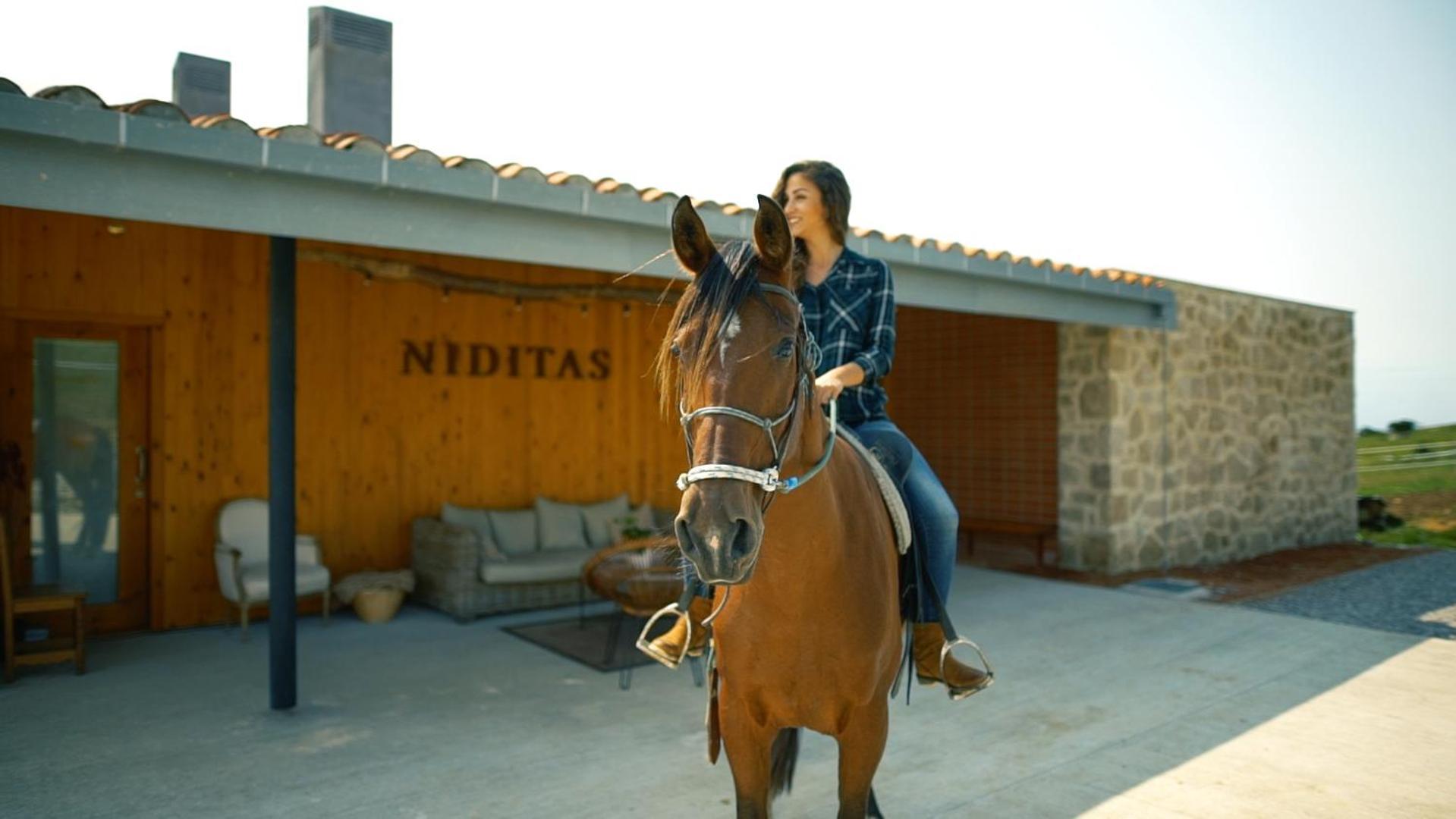 Niditas