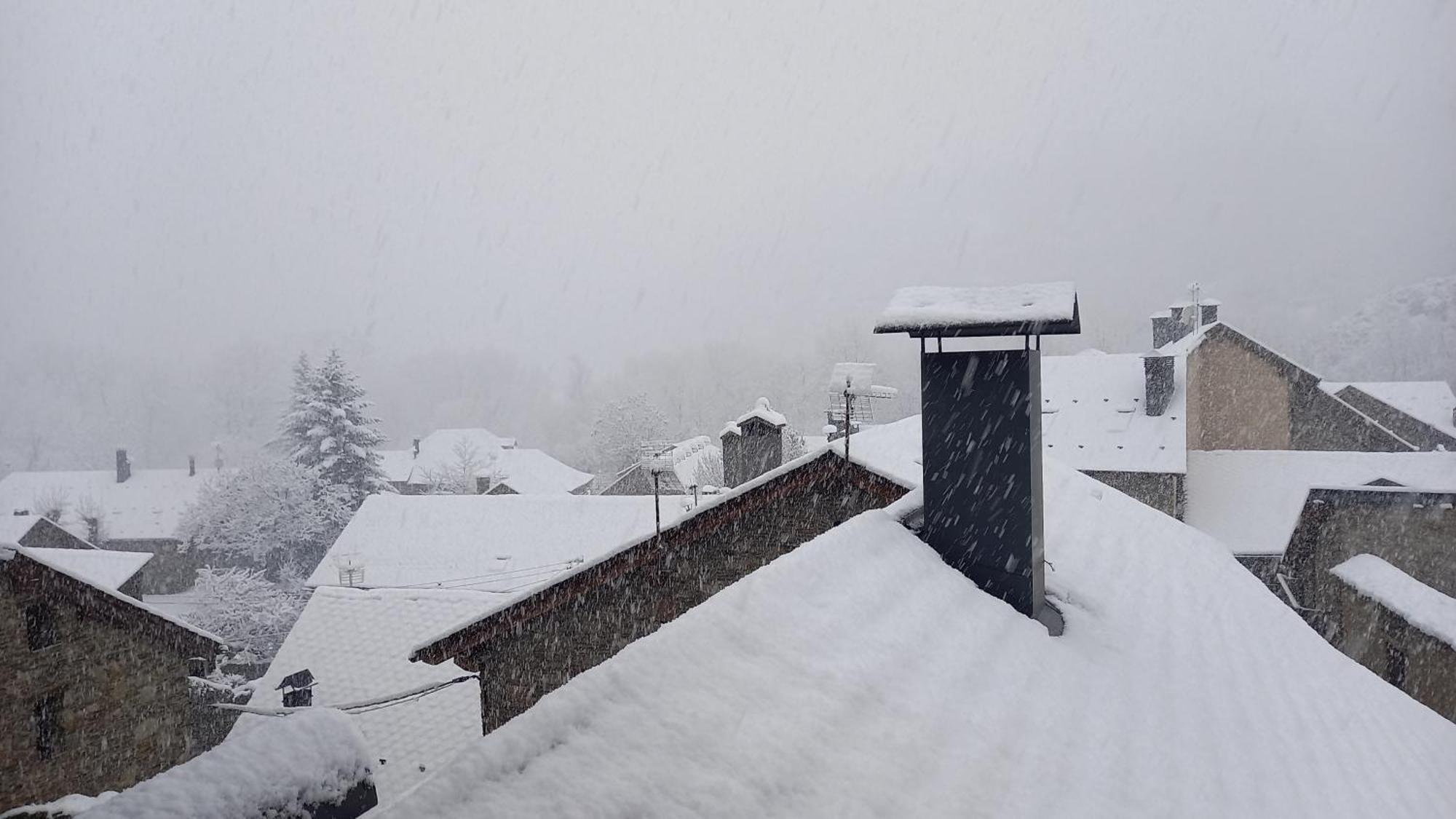 Muntanyes I Neu Apartamento